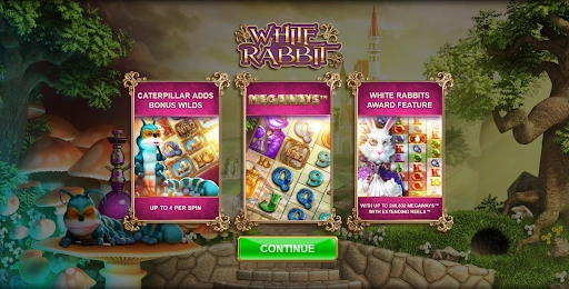 white-rabbit-pros-and-cons white-rabbit-pros-and-cons